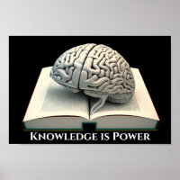 Knowledge is Power - Silver Edition