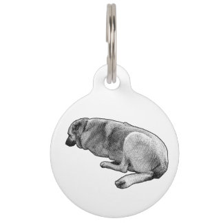 Known Even in Sleep Pet Tag