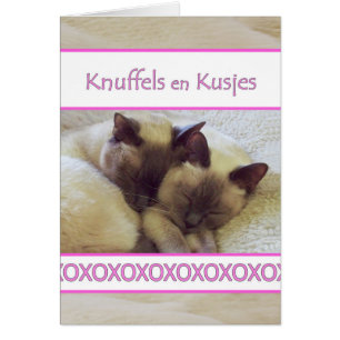 Knuffels en Kusjes, Hug and Kiss in Dutch