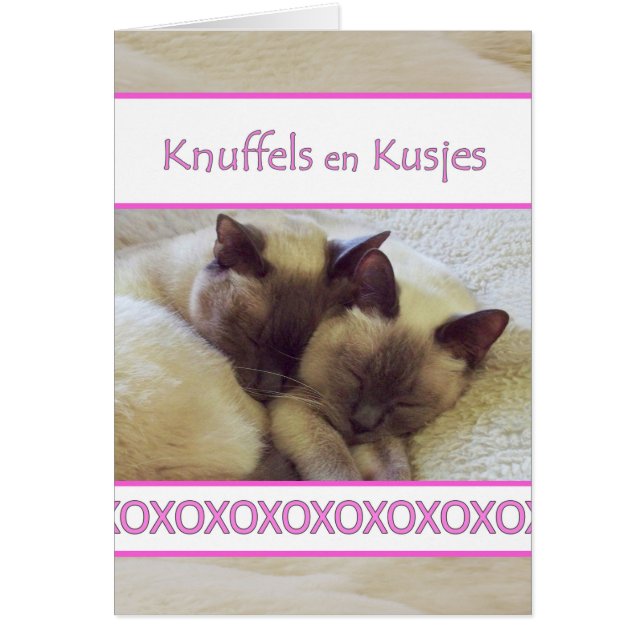 Knuffels en Kusjes, Hug and Kiss in Dutch (Front)