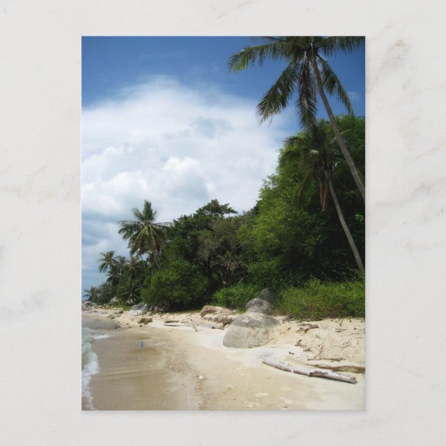 Ko Phangan Coastline in Thailand Postcard (Front)