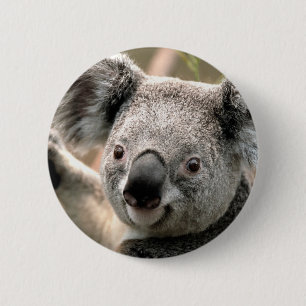 Koala 6 Cm Round Badge