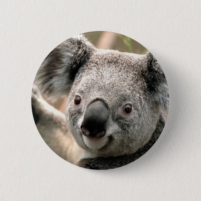 Koala 6 Cm Round Badge (Front)