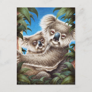 Koala and Baby Postcard