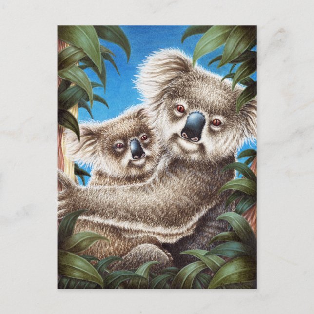 Koala and Baby Postcard (Front)