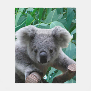 Koala and Eucalyptus Fleece Blanket