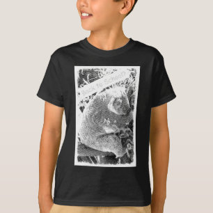 Koala Back to School Engraved look T-Shirt