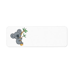 Koala Bear