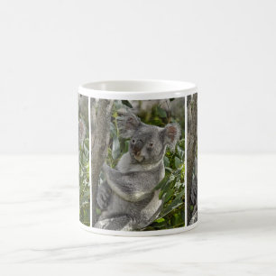 Koala Bear 2 Mug
