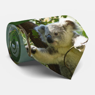 Koala bear -2, tie