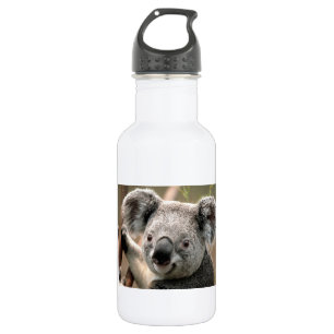 Koala Bear 532 Ml Water Bottle