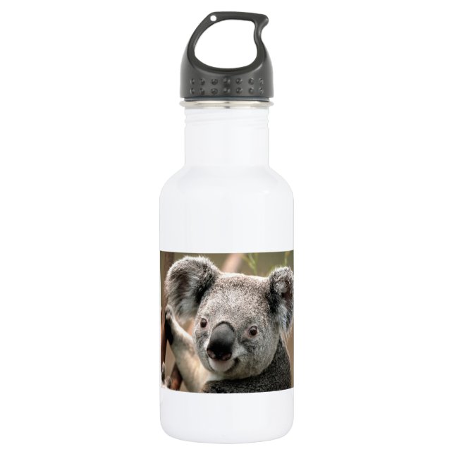 Koala Bear 532 Ml Water Bottle (Front)
