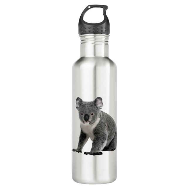 Koala Bear 710 Ml Water Bottle (Front)