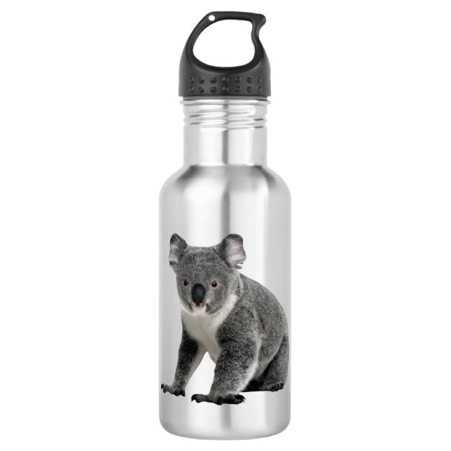Koala Bear 710 Ml Water Bottle (Front)