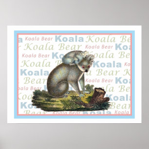 Koala Bear and Baby Poster