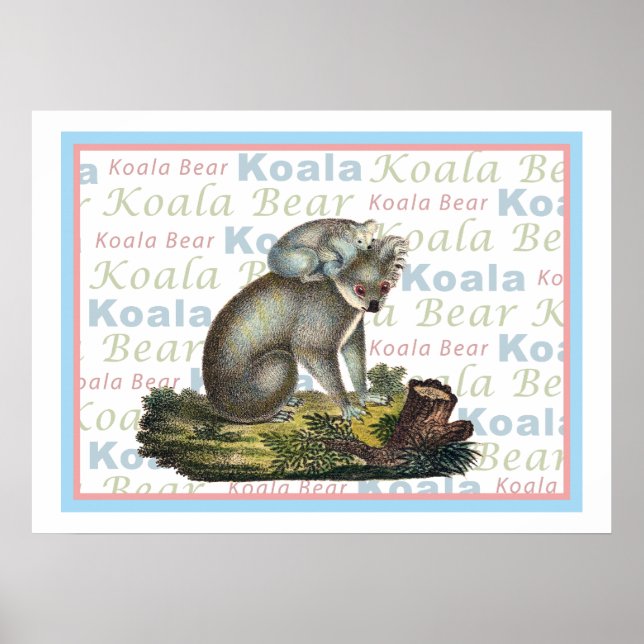 Koala Bear and Baby Poster (Front)