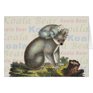 Koala Bear Card