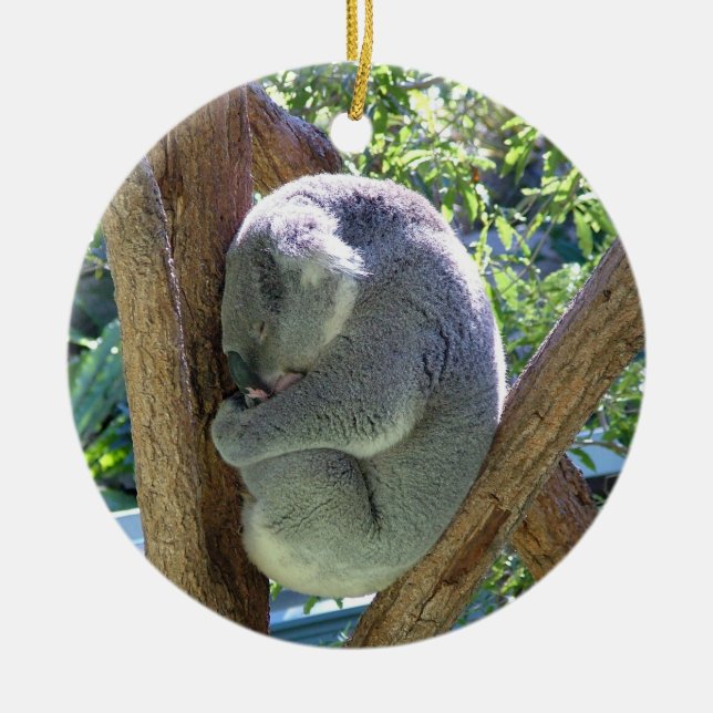 Koala Bear Ceramic Tree Decoration (Front)