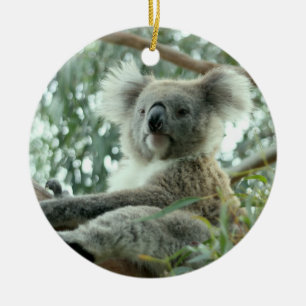Koala Bear Ceramic Tree Decoration