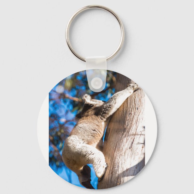 koala bear climbing tree in Australia Key Ring (Front)