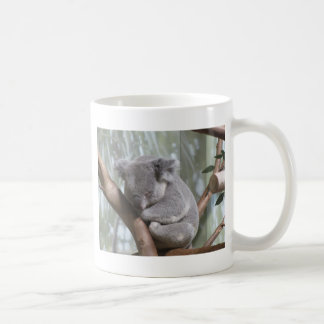 koala bear coffee mug