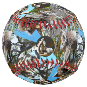 Koala Bear Collarge, Softball