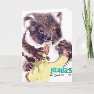 Koala Bear Coloured Pencil Greeting and Note Card