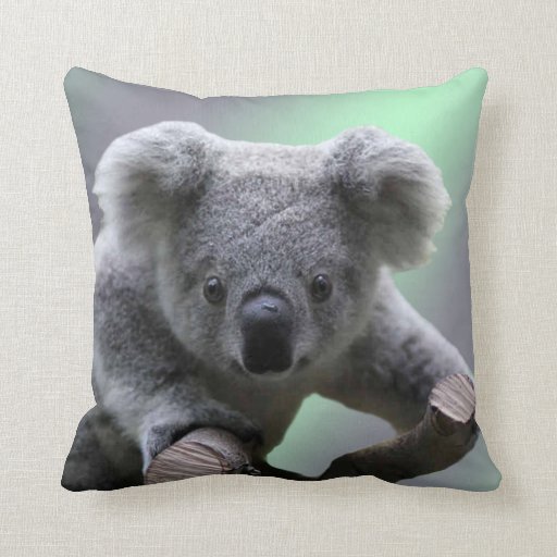 Image of Koala Bear Cushion