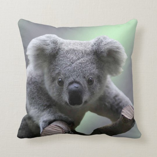 koala cushion
