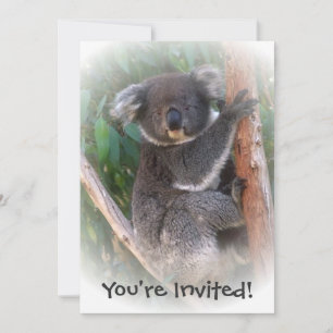 Koala Bear Design Any Occasion Invitation