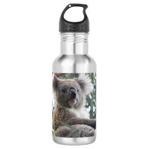 Koala Bear Facts 532 Ml Water Bottle