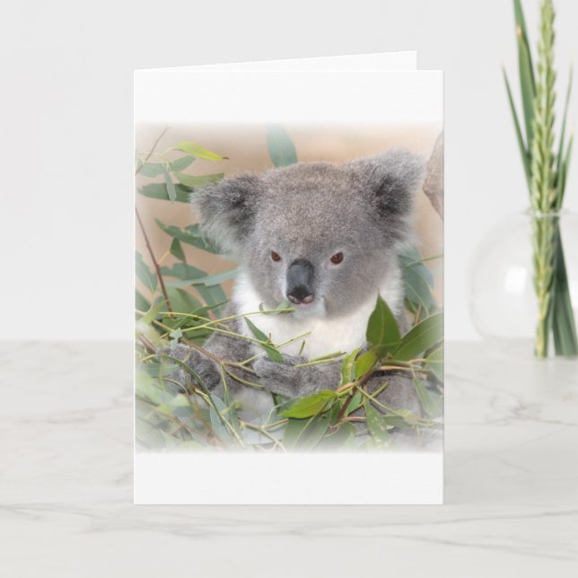 Koala Bear Greeting Card (Front)
