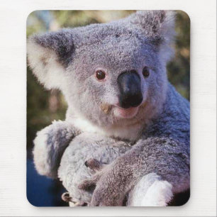 Koala Bear Holding A Koala Bear Mouse Mat