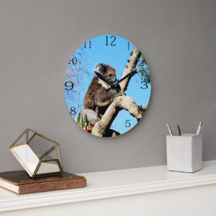 Koala Bear In Old Pine Tree, Large Clock