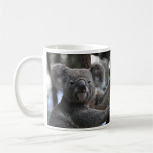 Koala Bear in Tree Coffee Mug
