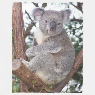 Koala Bear in Tree Fleece Blanket