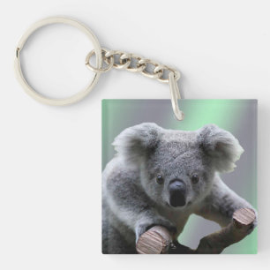 Koala Bear Key Ring