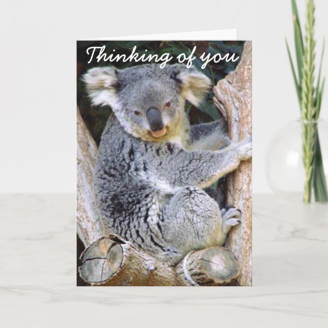 Koala Bear Love_ Card (Front)