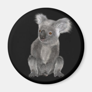 Koala Bear Magnet