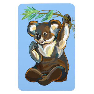 koala bear magnet