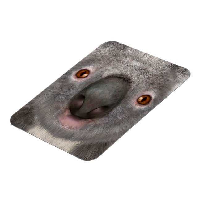 Koala Bear Magnet (Left Side)