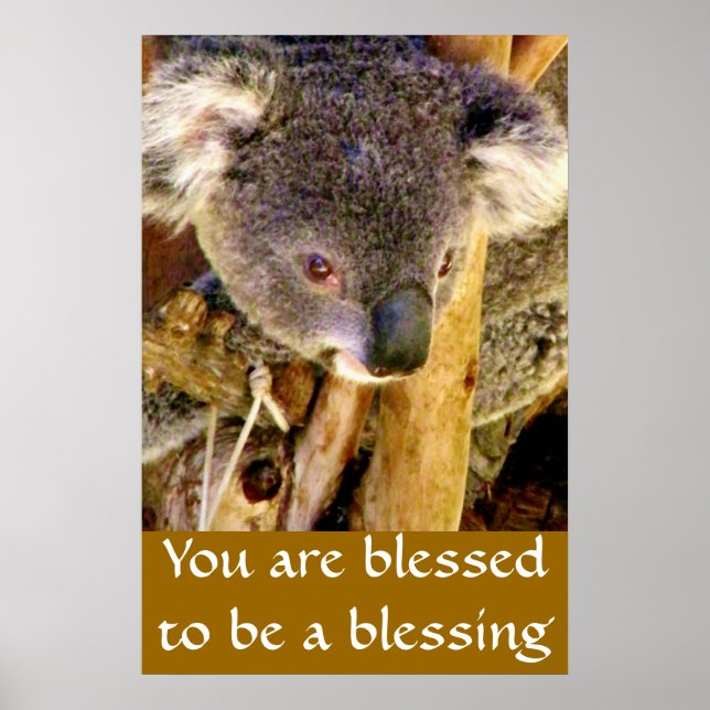 Koala Bear & Message_ Poster (Front)