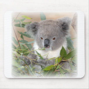 Koala Bear Mouse Pad
