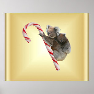 Koala Bear Mum and Joey Climbing Candy Cane Poster