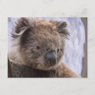 Koala Bear Postcard