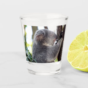 Koala Bear Shot Glass
