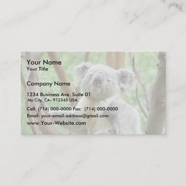 Koala Bear Sitting On The Tree At Perth Zoo Business Card (Front)
