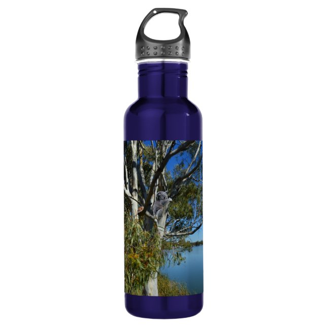 Koala Bear Sleeping In Gum Tree, 710 Ml Water Bottle (Front)