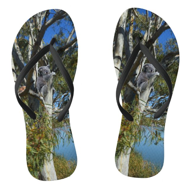 Koala Bear Sleeping In Gum Tree, Flip Flops (Footbed)