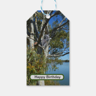Koala Bear Sleeping In Gum Tree, Gift Tags